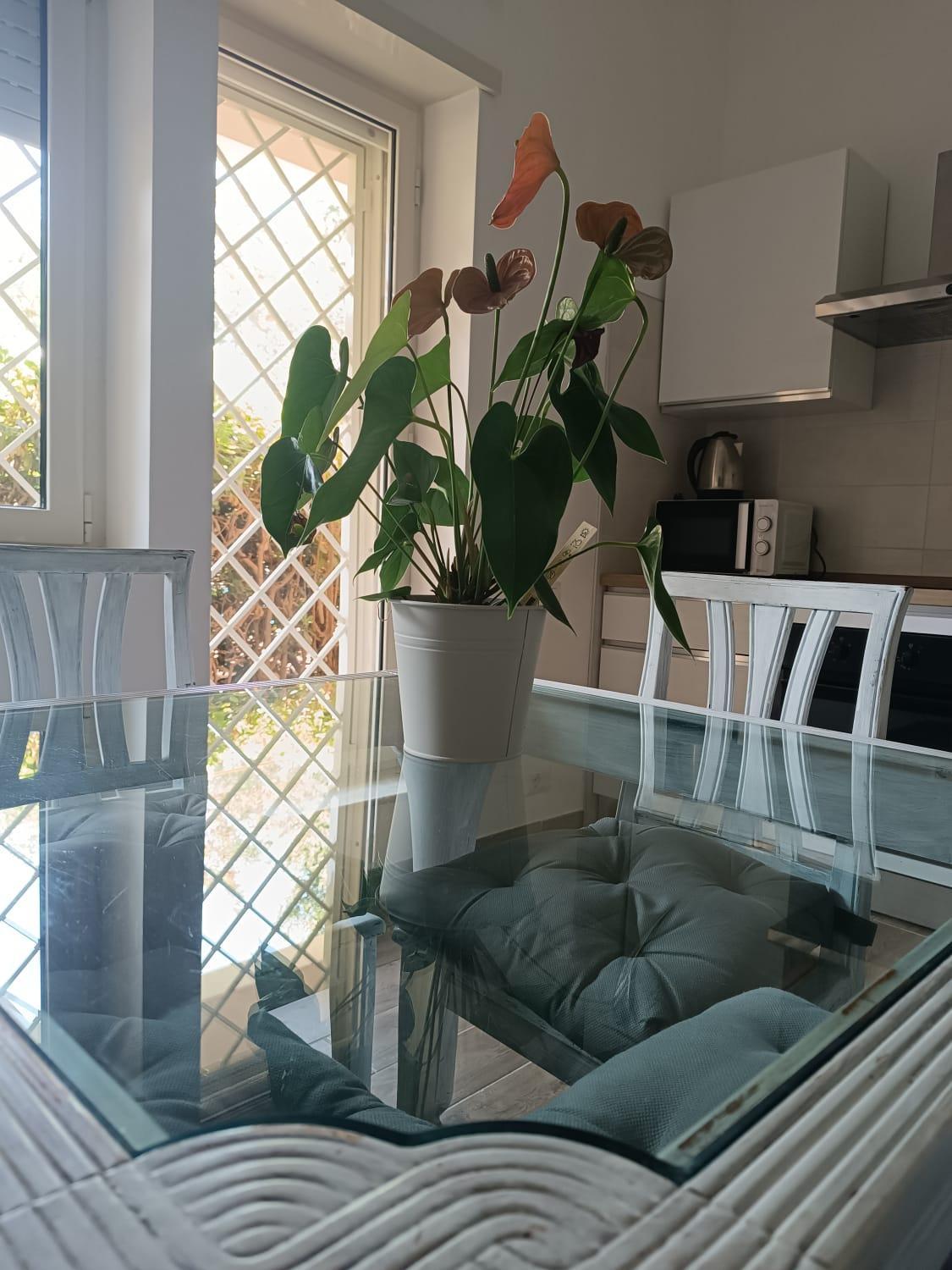 Aurelia Deluxe Vakantiehuis